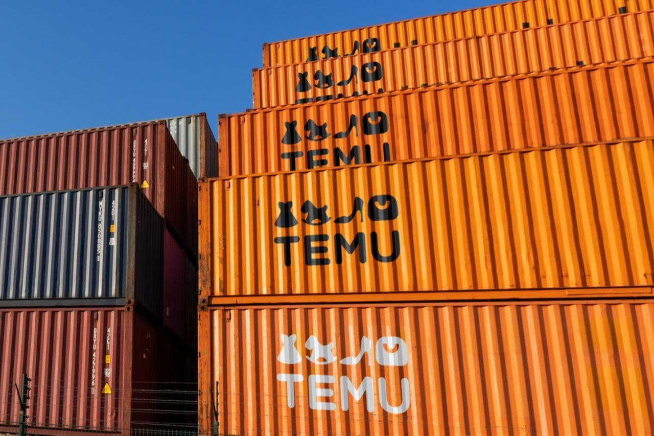 Tipps zur Vermeidung unnötiger Temu-Einfuhrsteuern